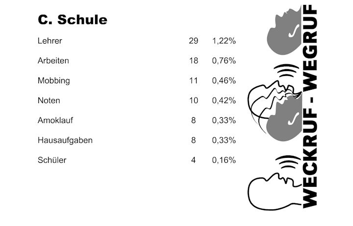 Präsentation des Ergebnisses der Schülerbefragung