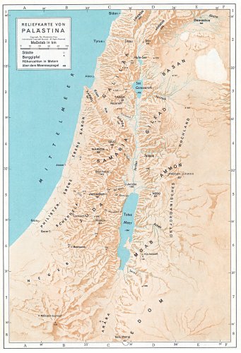 Reliefkarte von Palästina