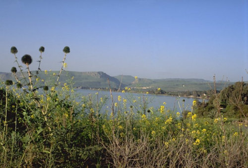 Der See Gennesaret vom Golan aus gesehen