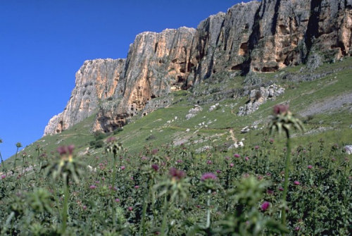 Berg Arbel