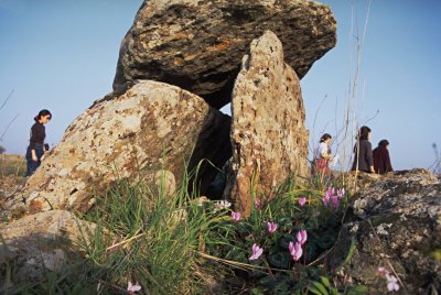 6000 Jahre alte Steingräber