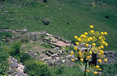Die Synagoge von Gamla - Ausgrabungen