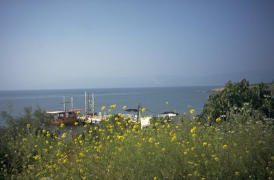 Blick auf den See Gennesaret