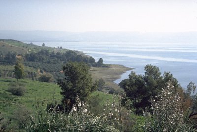 Gegend der Brotvermehrung am See Gennesaret