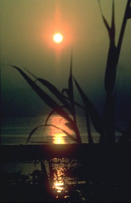 See Gennesaret - Sonnenuntergang vom Seeufer aus