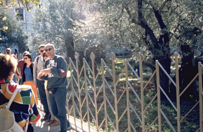 Jerusalem - Garten Getsemani mit den alten Ölbäumen