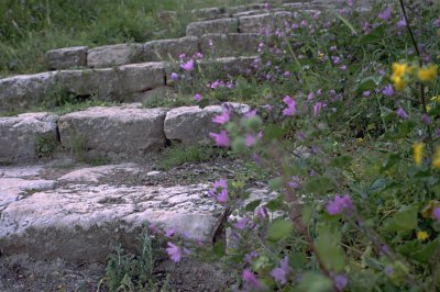 Jerusalem - Antike Stufen zum Haus des Hohenpriesters Kajafas