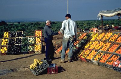Obst- und Gemüseverkauf im Jordangraben
