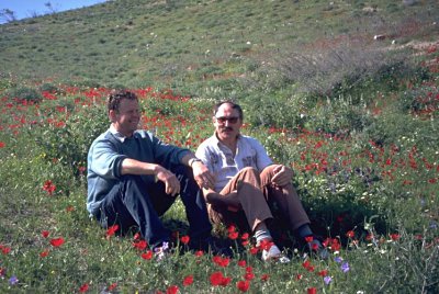 Anemonenwiese bei Jericho