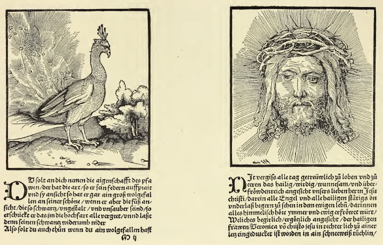 Buchillustration