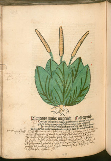 Buchseite