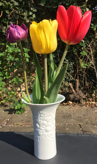 Tulpen