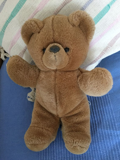 Teddybär