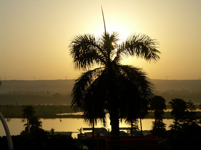 Sonnenaufgang über Palmen