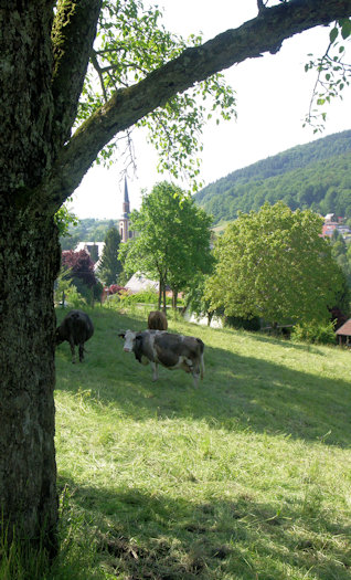 Schwarzwaldtal